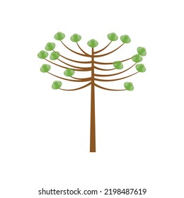 araucaria tree design vector flat modern isolated on white background