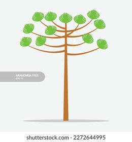 araucaria tree design vector flat modern isolated illustration