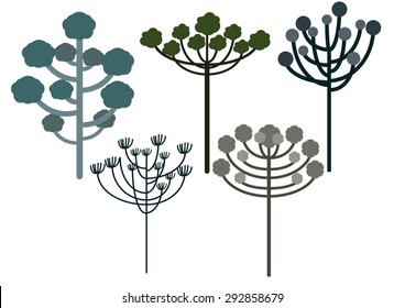 Araucaria Tree Set Vector