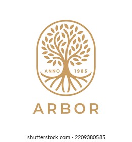 Arbor tree of life logo. Natural product plant growth icon. Botanical wellness spa sign. Eco nature garden emblem. Premium oak tree roots symbol. Vector illustration.