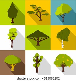 Arboreal plant icons set. Flat illustration of 9 arboreal plant vector icons for web