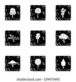 Arboreal plant icons set. Grunge illustration of 9 arboreal plant vector icons for web