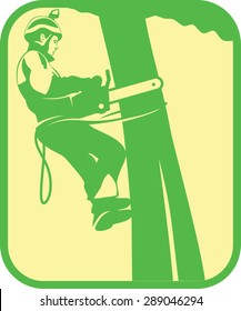 Arborist climbing on tree and cutting with chainsaw