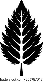 Arborvitae tree leaf icon isolated on white background. Leaf sign vector illustration design