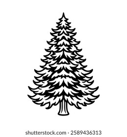 arborvitae tree line art vector
