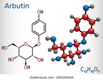Arbutin, ursin, arbutoside, glycoside molecule. It is used in medicine for diseases of bladder as antiseptic. Structural chemical formula, molecule model. Vector illustration svg