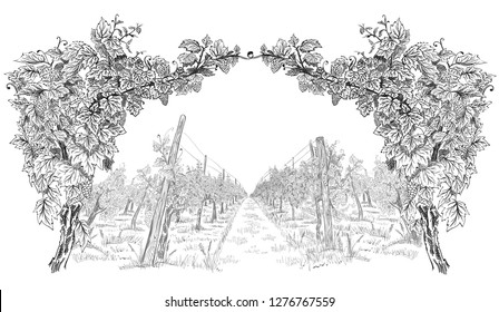 Arc from of grapevine with landscape of vineyard. Hand drawn horizontal sketch vector background isolated on white