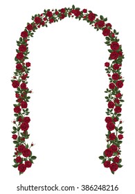 Arch of red climbing roses. Floral design. Wedding decoration. Vector illustration, detailed, isolated on white background.