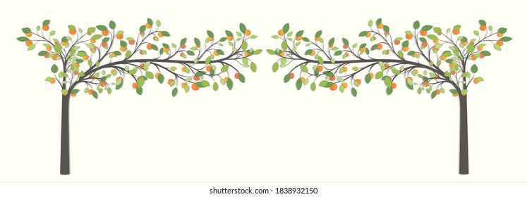 Arch of trees with orange fruit and green leaves