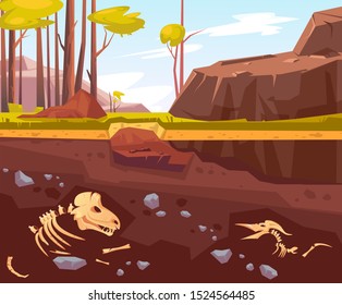 Archaeological excavations, cartoon vector illustration. Natural landscape with trees, mountains, green grass and dug pit. Underground soil with fossils, dinosaur skeleton in them, cross section