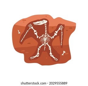 Archaeological fossil with dinosaurs skeleton, flat vector illustration isolated on white background. Paleontological and archaeological ancient artifact.