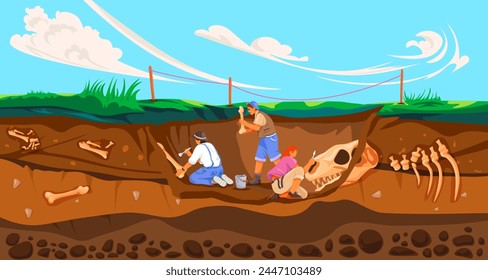 Archaeologist dig fossils. Archeological works, archaeology scientist digging fossil in soil, paleontology excavation study history artifacts discover, recent vector illustration of excavation dig