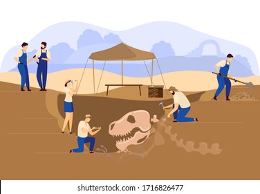 Archaeologists paleontologist excavation or digging soil with dinosaur skull and skeleton discovery vector illustration. Archaelogy excavation people , archaelogical artifacts search.