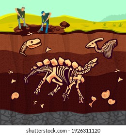 Archaeologists, paleontology scientists working on excavations or digging soil layers with shovel and exploring founded artifacts. studying dinosaurs fossil skeletons bones cartoon vector illustration