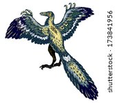 Archaeopteryx