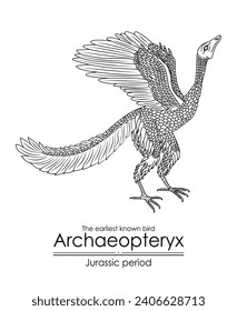 Archaeopteryx, the earliest known bird from the Jurassic period. Perfect for coloring and educational purposes.