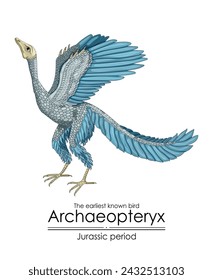 Archaeopteryx, the earliest known bird from the Jurassic period.