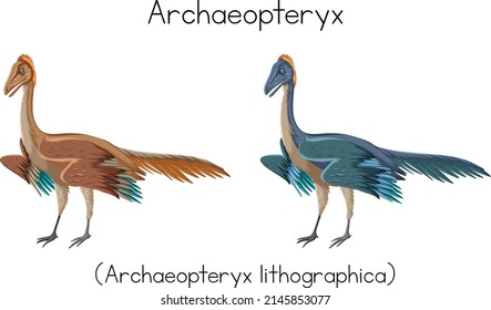 Archaeopteryx in two colors illustration