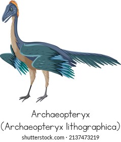 Archaeopteryx with word on white background illustration