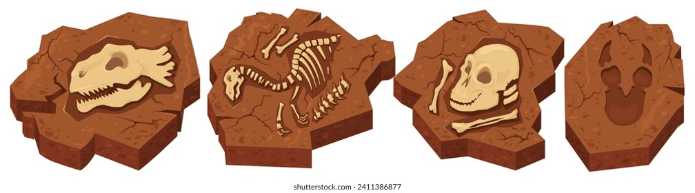 Archeological fossils in stone with different prehistoric dinosaurs footprint, trails, skulls, bones and skeleton vector illustration isolated set on white background