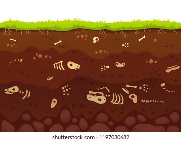 Archeology bones in soil layers  Buried fossil animals  dinosaur skeleton bone in dirt   underground clay layer death lizard in dirty earth  geological vector cartoon illustration