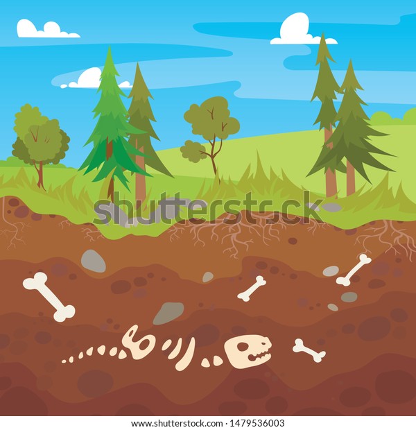 Bones (TV series) visual data 2