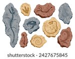 Archeology fossil stones with prints of Jurassic dinosaur bones and reptile, extinct plants. Archeology and paleontology reptile footprints, plants and bones. Cartoon vector illustration
