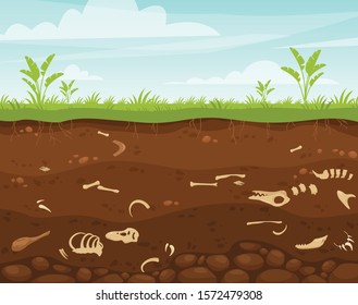 Archeology and paleontology flat vector illustration. Underground surface with dinosaur bones. Buried fossil animals, skeleton bone in dirt. Excavation scene, soil layers, historical artifacts.