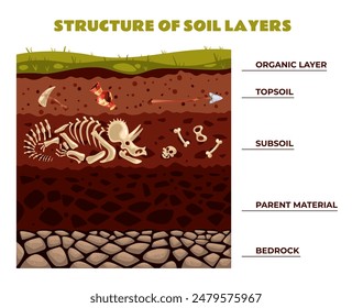 Archeology soil structure layers isolated concept. Vector flat graphic design illustration