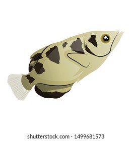 Archer Fish Vector Illustration Isolated On White Background