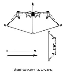 Archery vector illustration Design Buldle with arrows