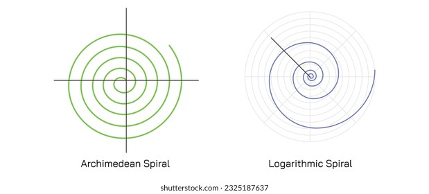 Die Archimedie spiralförmig die arithmetische Spirale. Mathematiker Archimedes Gesetz. Orte, die den Orten über die Zeit des Punktes entsprechen und sich von einem festen Punkt mit konstanter Geschwindigkeit wegbewegen. Vektorgrafik