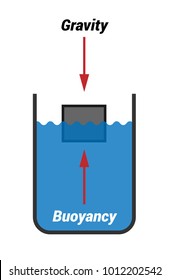 Archimedes' law vector