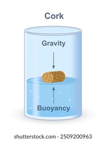 Archimedes-Prinzip. Physikunterricht und -erziehung. Kork im Wasser. Schwerkraft und Auftrieb. Wissenschaftliche Experimente. Grafisches Element für die Website. Cartoon, flache Vektorgrafik