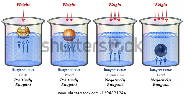 Archimedes Principle Density Buoyancy Stock Vector (Royalty Free ...