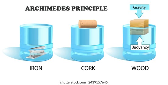 Archimedes principle diagram. Science education vector 3d illustration