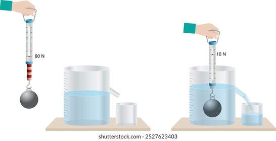 Experimento do Princípio de Arquimedes e dinamômetro - O peso diminui quando submerso em água devido à força de flutuação