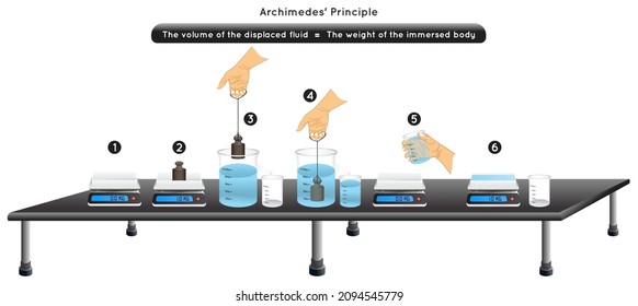 Archimedes Principle Experiment Infographic Diagram example weight digital scale immersed body fluid container volume displaced water equal body weight lab observation physics science education vector - Shutterstock ID 2094545779