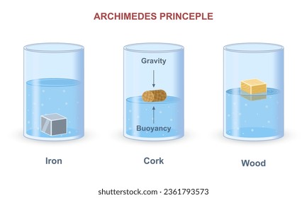 Archimedes principle experiment. Scheme with density and buoyancy of materials. Weight of iron, wood and cork in displaced fluid. Buoyancy force and gravity concept. Cartoon flat vector illustration