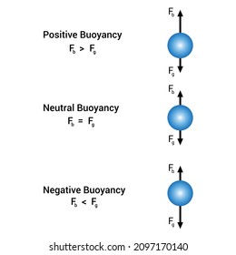 Archimedes Principle Experiments And Buoyant Force. Positive Negative And Neutral Buoyancy