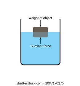 Archimedes Principle Experiments And Buoyant Force. Positive Negative And Neutral Buoyancy