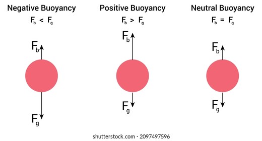 Archimedes Principle Experiments And Buoyant Force. Positive Negative And Neutral Buoyancy