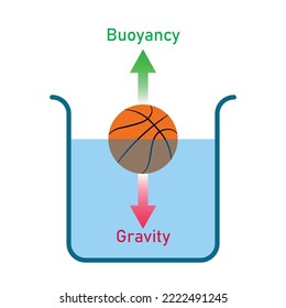 Archimedes principle experiments and buoyant force. Positive negative and neutral buoyancy. Scientific vector illustration isolated on white background.