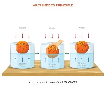 Archimedes' Principle explains buoyancy: an object submerged in fluid is buoyed up by a force equal to the weight of the fluid it displaces.