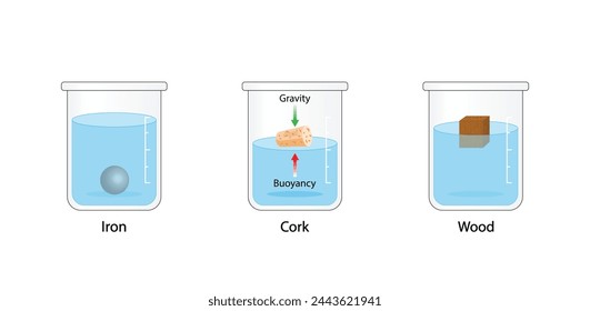 In: Archimedes Principle, Gravity and Buoyancy Force. Dichtemessung. Im Wasser schwimmen oder sinken. Eisen, Kork und Holzwürfel. Experimentieren Sie mit Bechern von Wasser. In: Vektorgrafik Scientific Illustration.