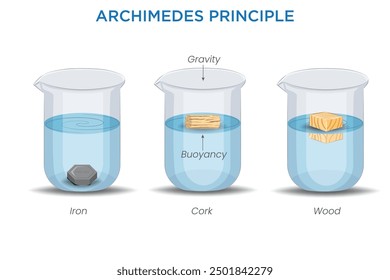 El principio de Arquímedes establece que un objeto sumergido en un fluido experimenta una fuerza ascendente igual al peso del fluido que desplaza.