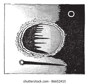 Archimedes seen through the telescope, vintage engraved illustration. Trousset encyclopedia (1886 - 1891).