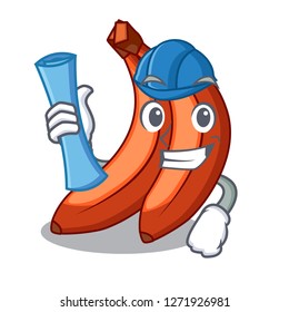 Architect abunch in red bananas fruit character