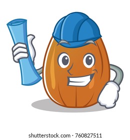 Architect almond nut character cartoon