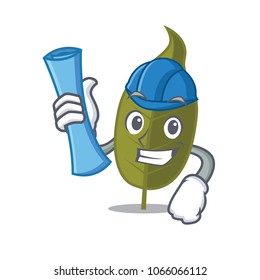 Architect bay leaf character cartoon